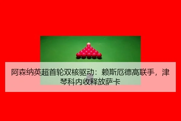 a-sen-na-ying-chao-shou-lun-shuang-he-qu-dong-lai-si-e-de-gao-lian-shou-jin-qin-ke-nei-shou-shi-fang-sa-ka-3-576.jpg