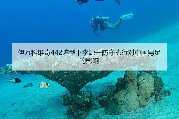 yi-wan-ke-wei-qi-zhen-xing-xia-li-yuan-yi-fang-shou-zhi-xing-dui-zhong-guo-nan-zu-de-ying-xiang-3-237.jpg