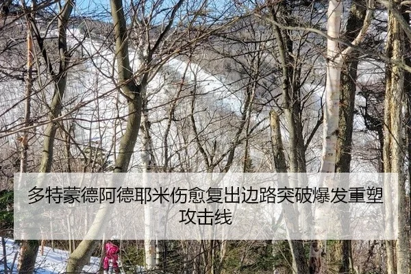 duo-te-meng-de-a-de-ye-mi-shang-yu-fu-chu-bian-lu-tu-po-bao-fa-zhong-su-gong-ji-xian-2-900.jpg