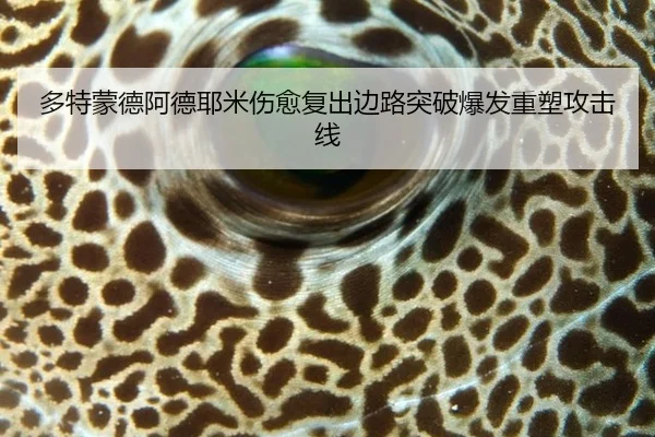 多特蒙德阿德耶米伤愈复出边路突破爆发重塑攻击线